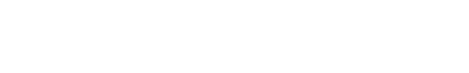 Disability DNS Logo